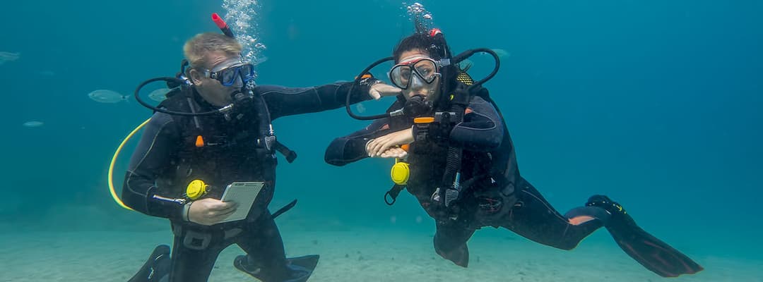 PADI Open Water Diver