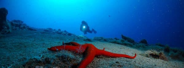 REFRESHER DIVE