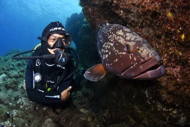 1. DIVES WITH TANKS AND WEIGHTS