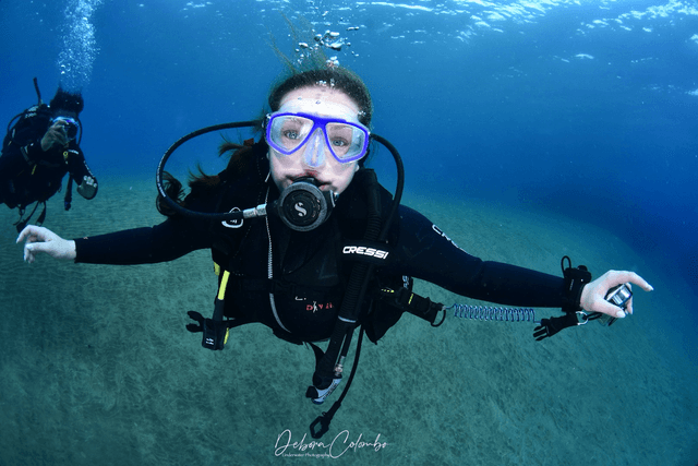 10. BSAC Ocean Diver 