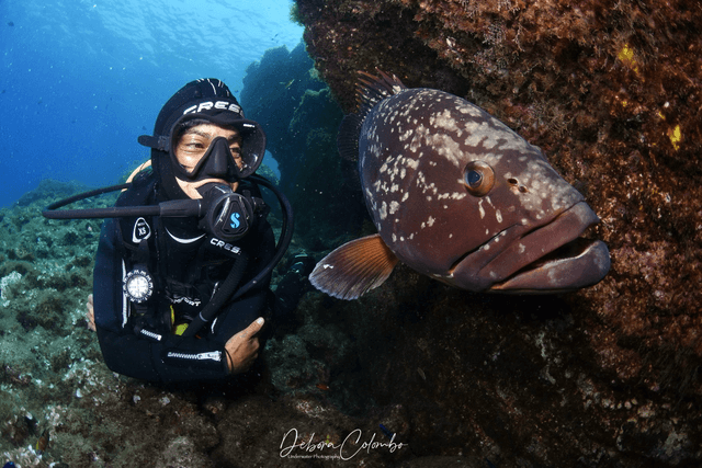 11. BSAC Sport Diver